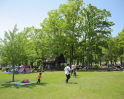 ピクニック広場・トリム広場