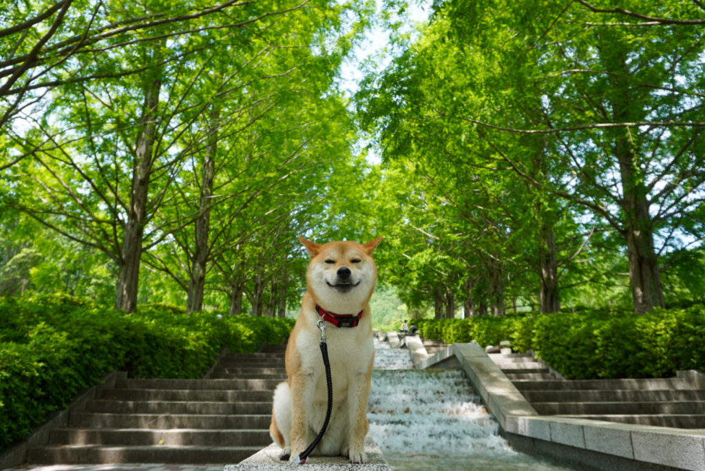 気持ちいい顔