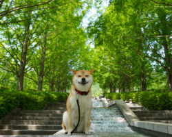 気持ちいい顔