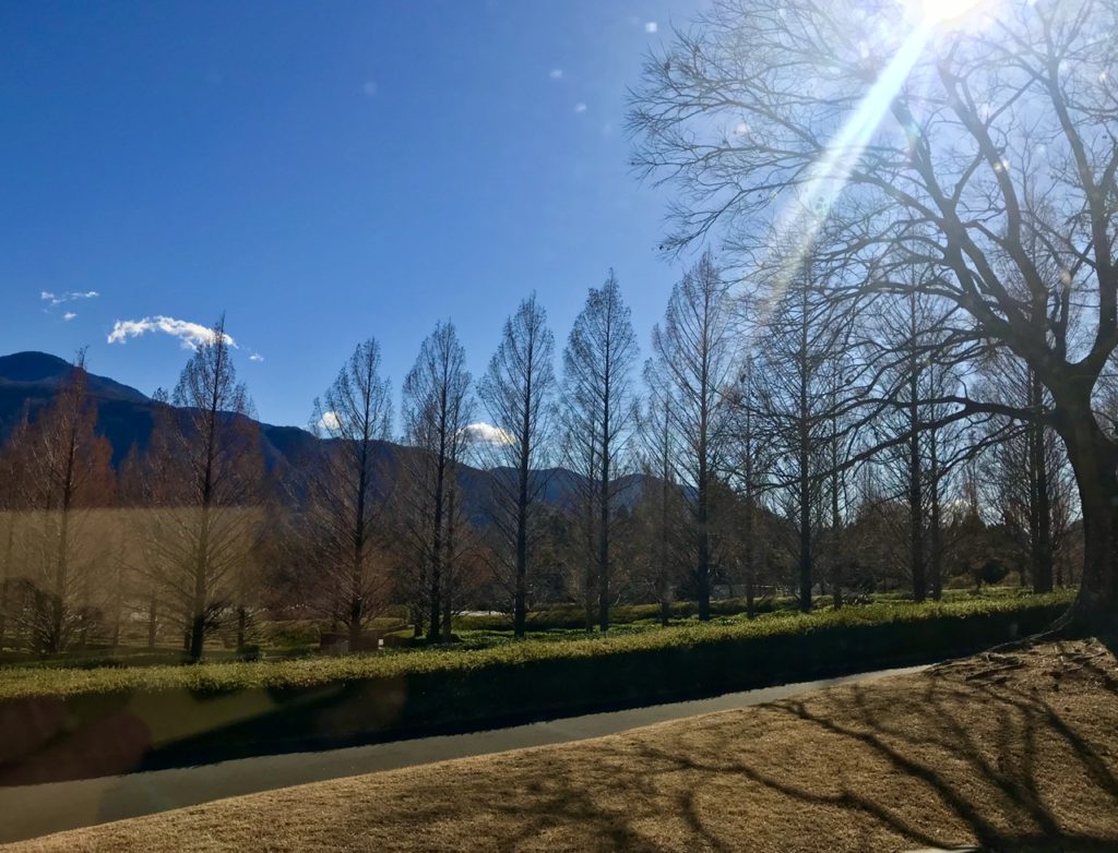 影まで切り絵のような風景