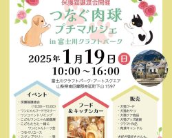 「つなぐ肉球プチマルシェ」保護猫譲渡会 開催1/19 終了