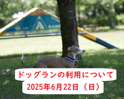 ドッグランのご利用について6/22