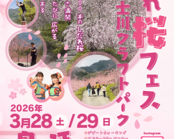 しだれ桜フェス 開催予定・各種募集のお知らせ